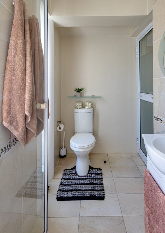 Whale-a-While thumbnail 10